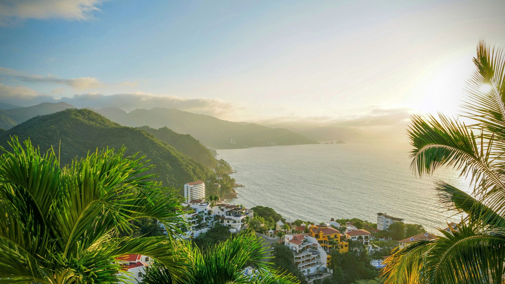 Costa de Puerto Vallarta con palmeras y residencias